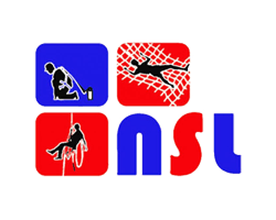 netting-services-logo