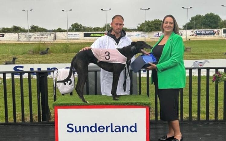 Links Dasher is one of four greyhounds representing the north-east in Friday's final!