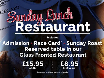 sun lunch new