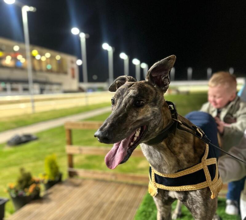 sunderland back on track