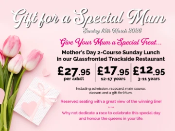 Mothers Day Small Icon