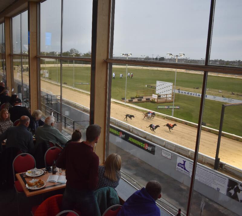 sunderland greyhound stadium 2026