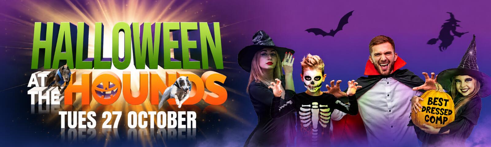 Halloween at the hounds at sunderland greyhounds 